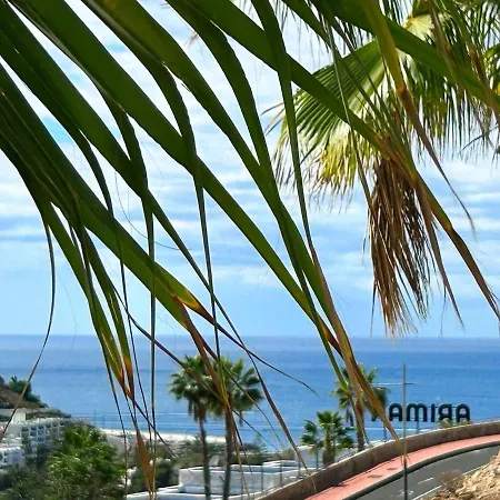 Palm Canaima, Puerto Rico アパート Mogán